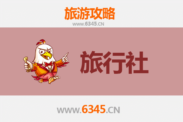 中山西区街道本地旅行社推荐及深度游玩攻略