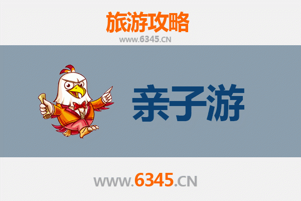 中山西区街道亲子游攻略：探索人文与自然的家庭乐趣